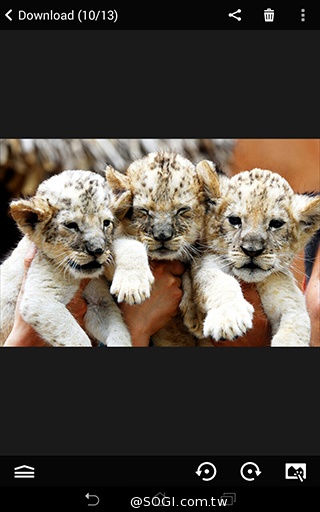 馬卡龍7吋平板 ASUS MeMO Pad 7 ME176C實測