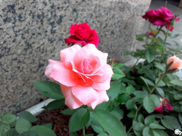 馬卡龍7吋平板 ASUS MeMO Pad 7 ME176C實測