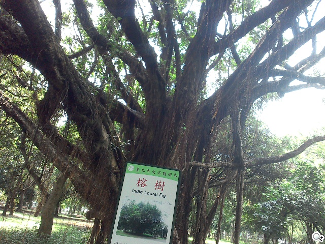 馬卡龍7吋平板 ASUS MeMO Pad 7 ME176C實測