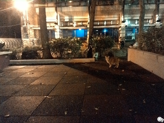 馬卡龍7吋平板 ASUS MeMO Pad 7 ME176C實測