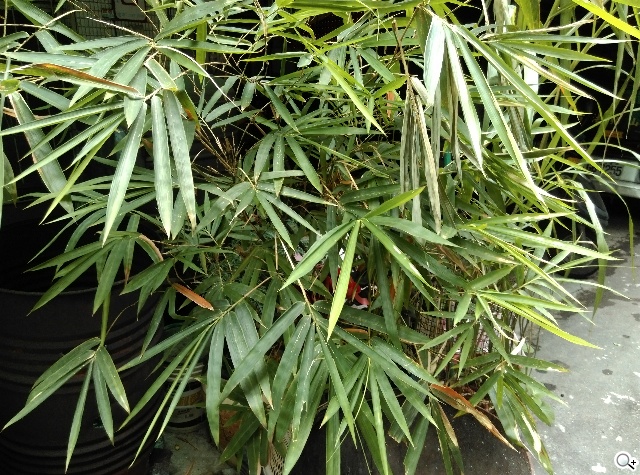 M8塑膠平價款 潮流旗艦HTC One E8實測