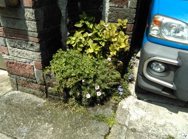 M8塑膠平價款 潮流旗艦HTC One E8實測