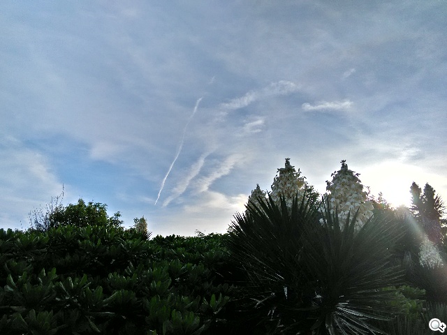 主打夜拍的5吋纖薄4G手機OPPO R3