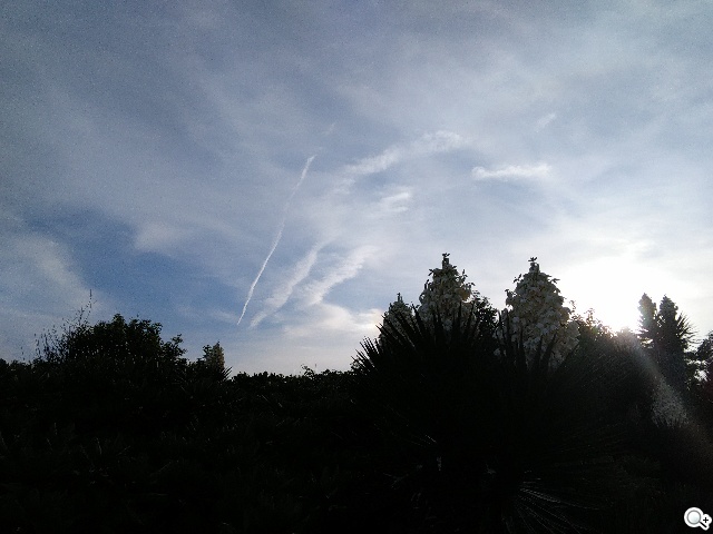 主打夜拍的5吋纖薄4G手機OPPO R3