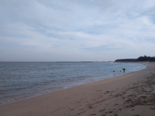 主打夜拍的5吋纖薄4G手機OPPO R3