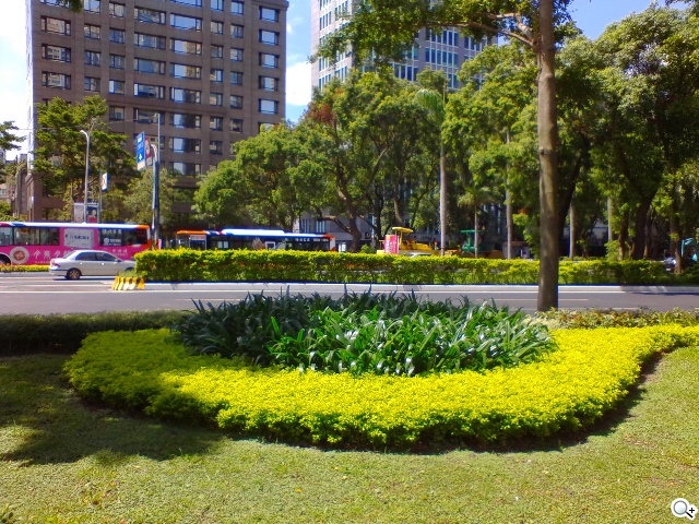 OPEN小將Magic入門級5吋3G雙卡智慧機實測