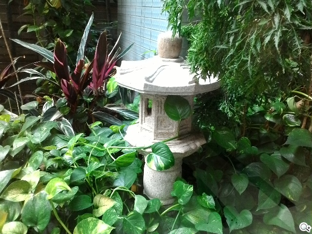 7吋雙卡通話平板 ASUS Fonepad 7 FE375CG實測 7吋雙卡通話平板 ASUS Fonepad 7 FE375CG實測