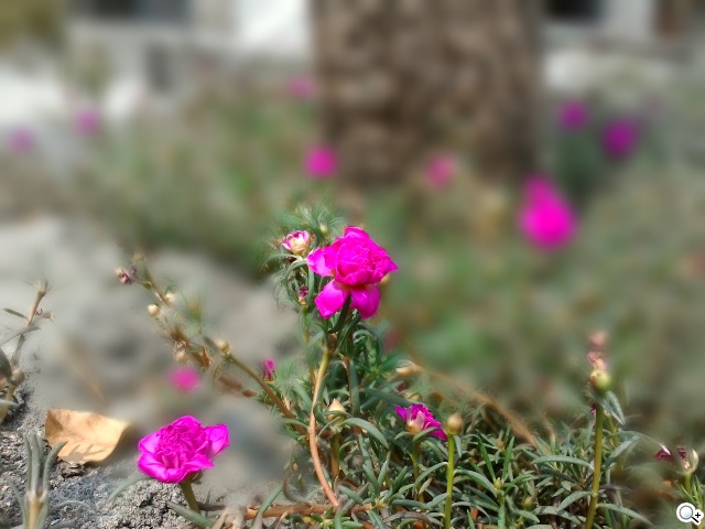 7吋雙卡通話平板 ASUS Fonepad 7 FE375CG實測 7吋雙卡通話平板 ASUS Fonepad 7 FE375CG實測