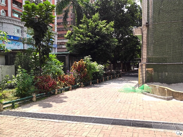 8MP雙鏡頭手機InFocus M2 支援4G全頻雙卡