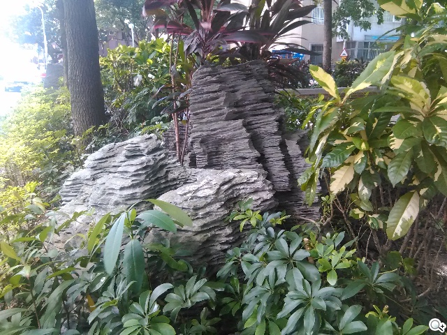 小資新選 入門4G手機TWM Amazing X1 小資新選 入門4G手機TWM Amazing X1