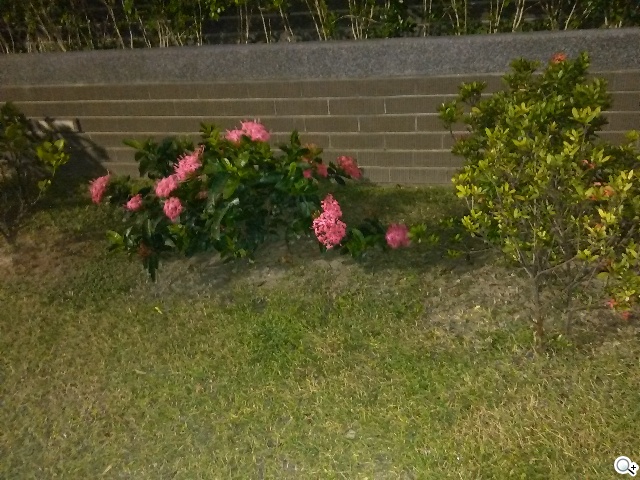 小資新選 入門4G手機TWM Amazing X1 小資新選 入門4G手機TWM Amazing X1