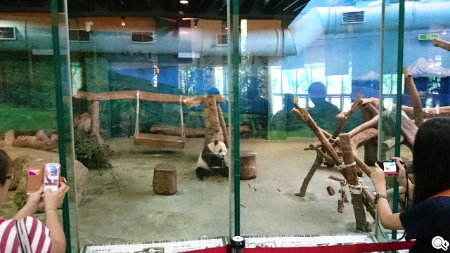 台北市趴趴走！4G小旅行with全頻Sony Z2a