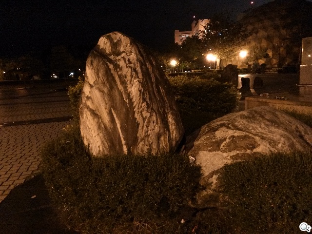 4G全頻入門手機 TWM Amazing X2實測 4G全頻入門手機 TWM Amazing X2實測