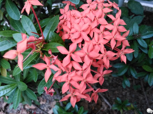 4G全頻入門手機 TWM Amazing X2實測 4G全頻入門手機 TWM Amazing X2實測