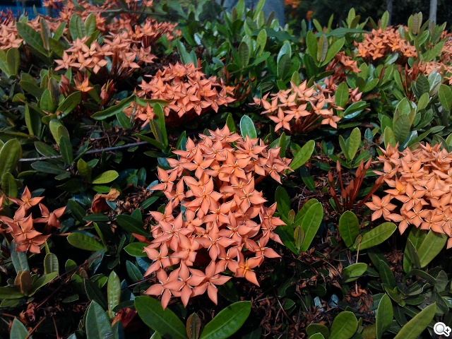 華碩LTE變形平板Transformer Pad TF303CL 華碩LTE變形平板Transformer Pad TF303CL