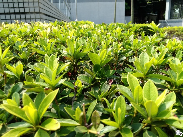 可站可躺、螢幕升級 聯想Yoga Tablet 10 HD+