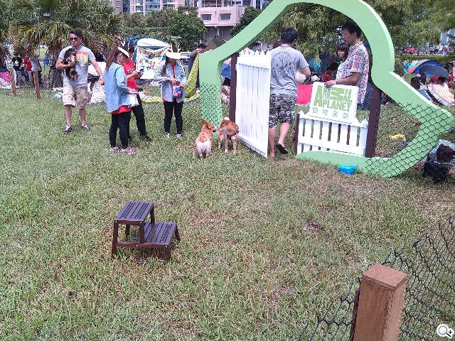 諾基亞5吋Android手機 NOKIA XL實測