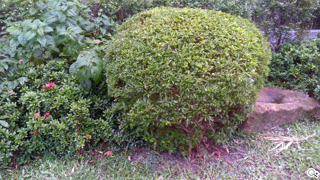 2.1聲道行動劇院 Lenovo Miix 2 11.6實測