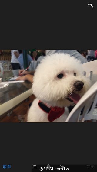 拍攝修編一把罩！iPhone 6 Plus相機功能實測