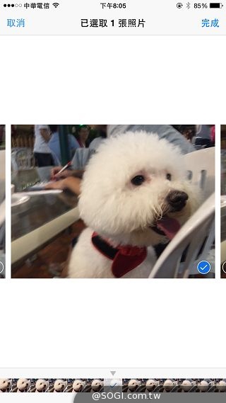 拍攝修編一把罩！iPhone 6 Plus相機功能實測