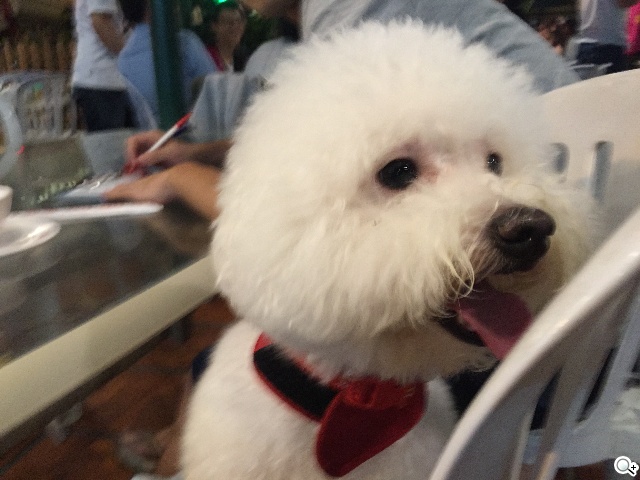 拍攝修編一把罩！iPhone 6 Plus相機功能實測