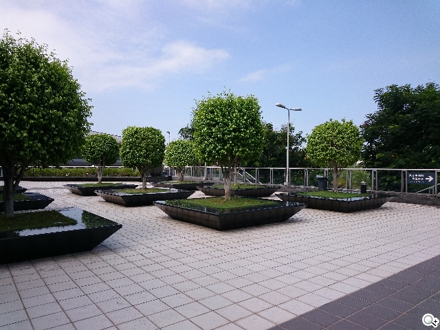 Sony Z3、iPhone 6手機日夜間拍攝實測 Sony Z3、iPhone 6手機日夜間拍攝實測