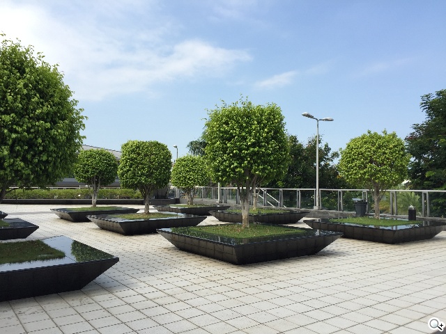 Sony Z3、iPhone 6手機日夜間拍攝實測 Sony Z3、iPhone 6手機日夜間拍攝實測