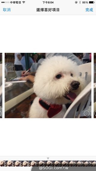 蘋果新機iPhone 6、6 Plus 大有乾坤