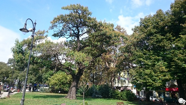 相機盲測：Note 4最多人愛、iPhone 6居次