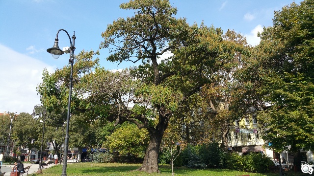 相機盲測：Note 4最多人愛、iPhone 6居次