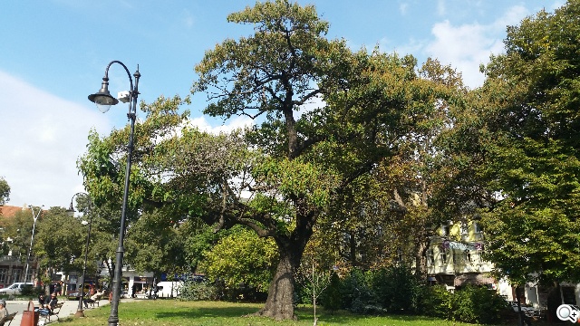 相機盲測：Note 4最多人愛、iPhone 6居次