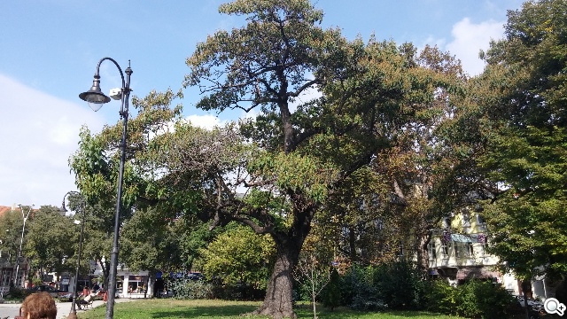 相機盲測：Note 4最多人愛、iPhone 6居次