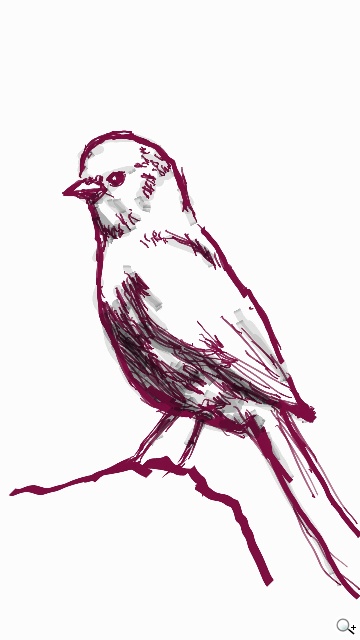 GALAXY Note 4手筆寫升級體驗