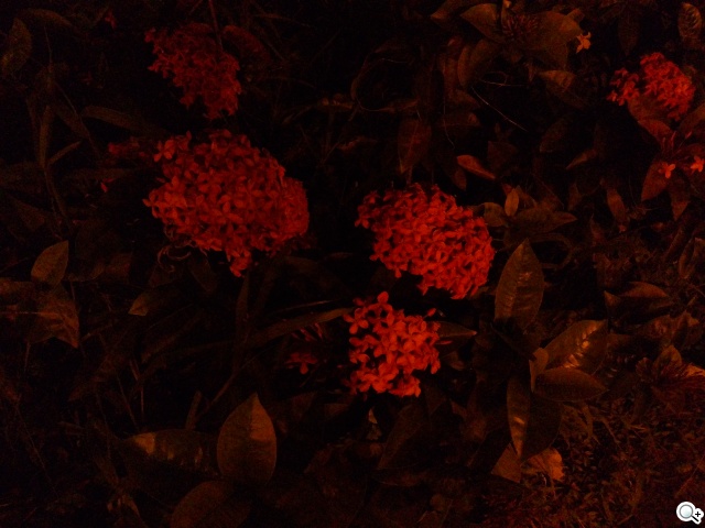 5.5吋平價全頻4G機 TWM Amazing X3 5.5吋平價全頻4G機 TWM Amazing X3