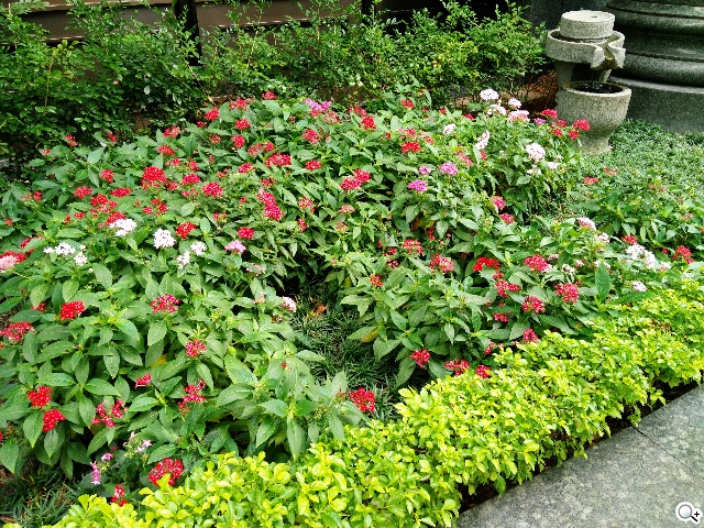 OPPO N3天生會轉！電動旋轉鏡頭手機攝錄實測