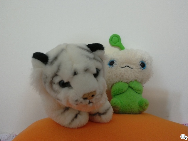 Lenovo Yoga Tablet 2 10 Wi-Fi