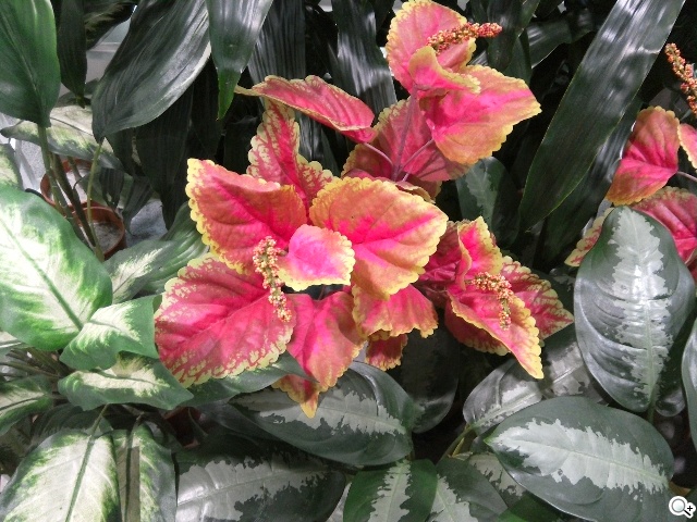 Lenovo Yoga Tablet 2 10 Wi-Fi