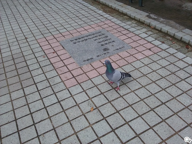 入門4G小奇機 三星GALAXY CORE Prime