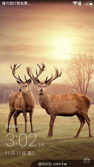 高規低價4G八核手機！華為榮耀6內在、相機實測