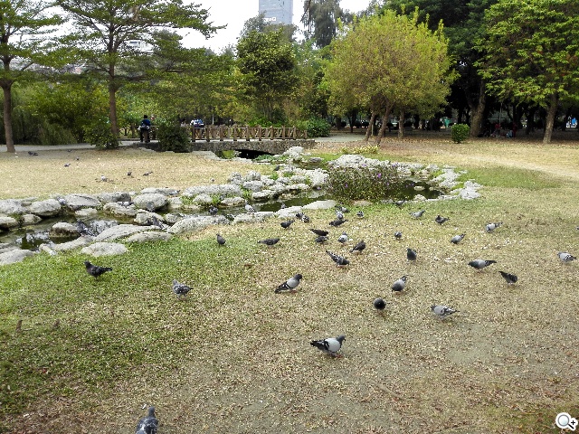 高規低價4G八核手機！華為榮耀6內在、相機實測