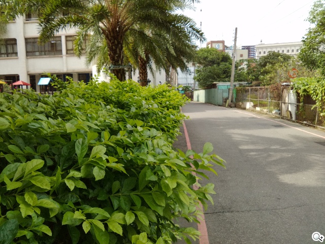 首款安卓5.0平板 Google Nexus 9功能、攝錄詳測