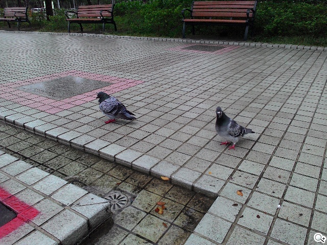 質感不錯的低價雙卡機 ASUS ZenFone 4 A400CG