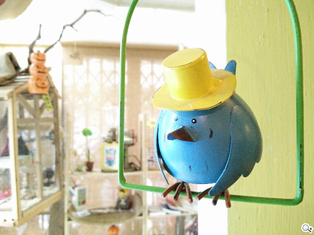 超薄4G手機OPPO R5 相機攝錄測試體驗