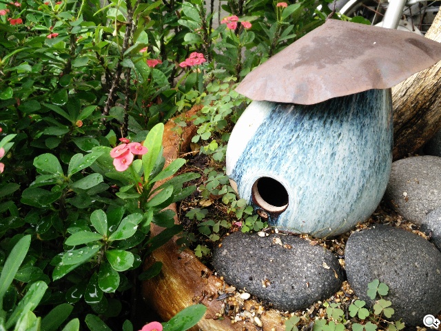 超薄4G手機OPPO R5 相機攝錄測試體驗