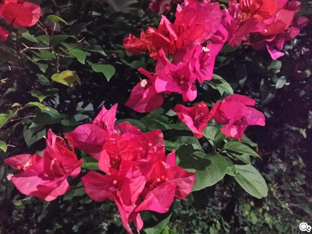 全金屬一體成型超薄美型機 三星GALAXY A5實測 全金屬一體成型超薄美型機 三星GALAXY A5實測