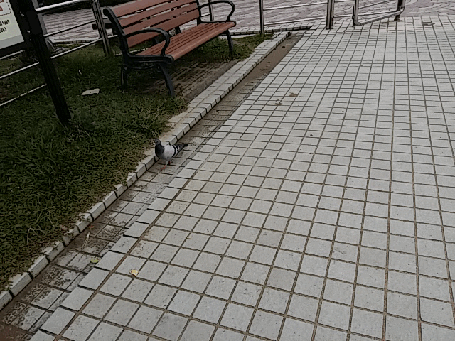 全金屬一體成型超薄美型機 三星GALAXY A5實測 全金屬一體成型超薄美型機 三星GALAXY A5實測