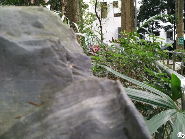 超薄4G手機OPPO R5 相機攝錄測試體驗