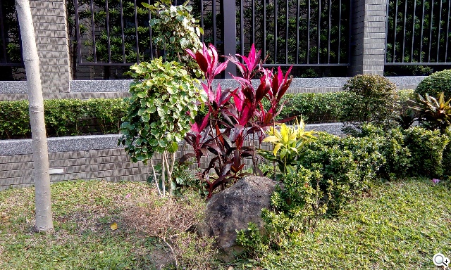 五千有找 MTK八核心雙卡機 HTC Desire 620G