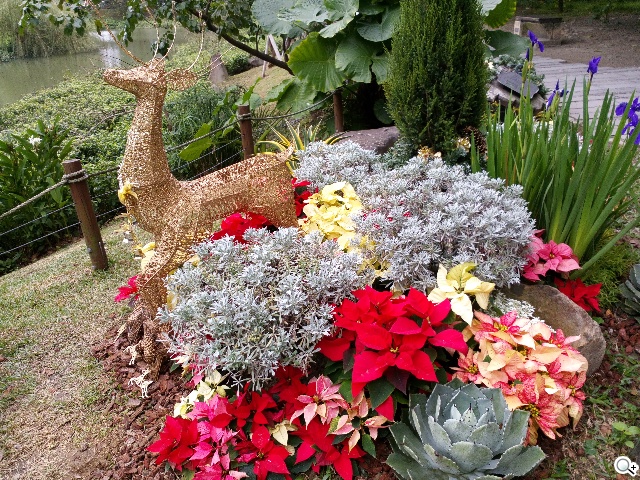 Acer Liquid Jade S 輕薄美型4G雙卡機