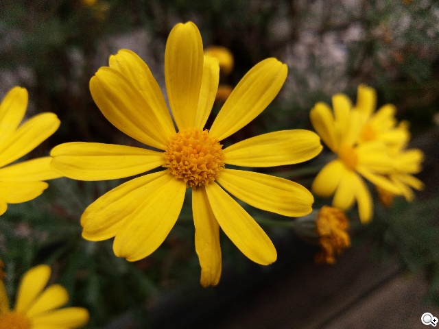 Acer Liquid Jade S 輕薄美型4G雙卡機